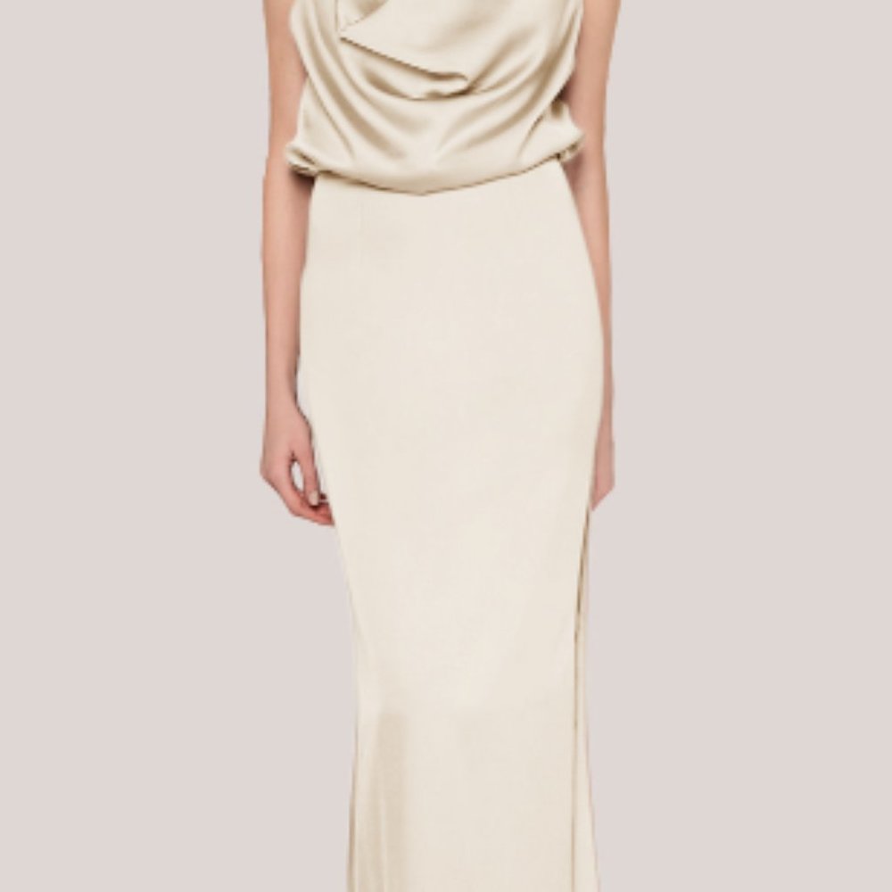 CHAMPAGNE FAME & PARTNERS DRESS (LIBRA STYLE)- PERFECT FOR BRIDESMAID!